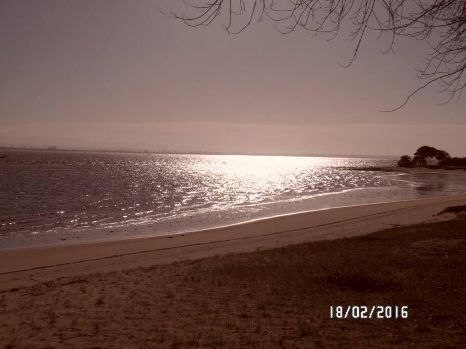 Maison Proche De La Mer Murtosa 外观 照片